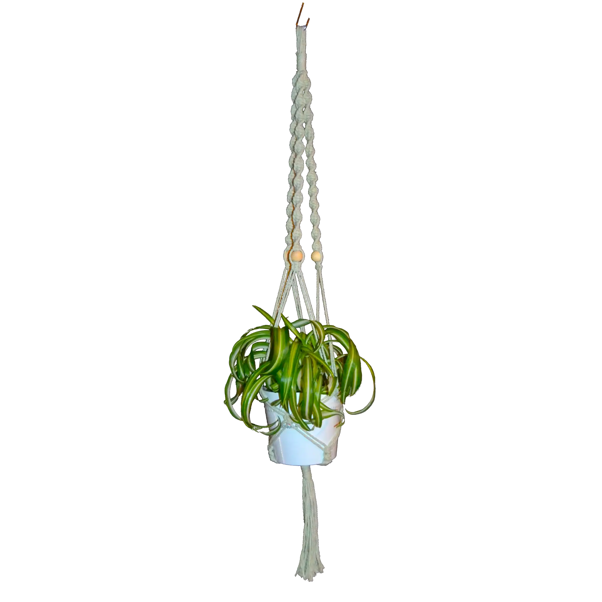 Makramee amppeli ilman ruukkua